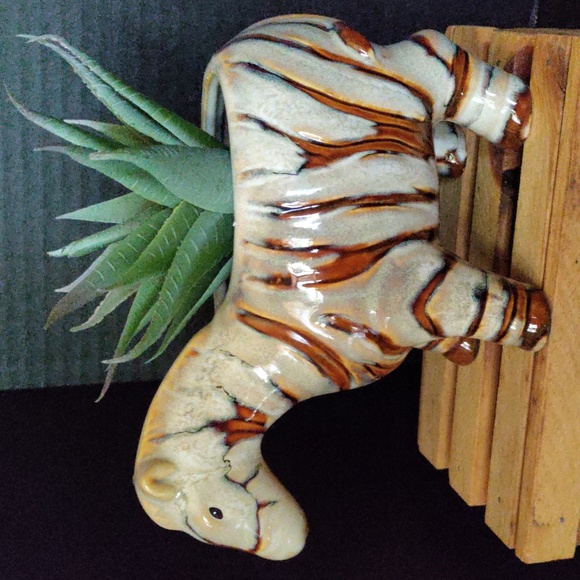 Zebra planter - Picture 2 of 13